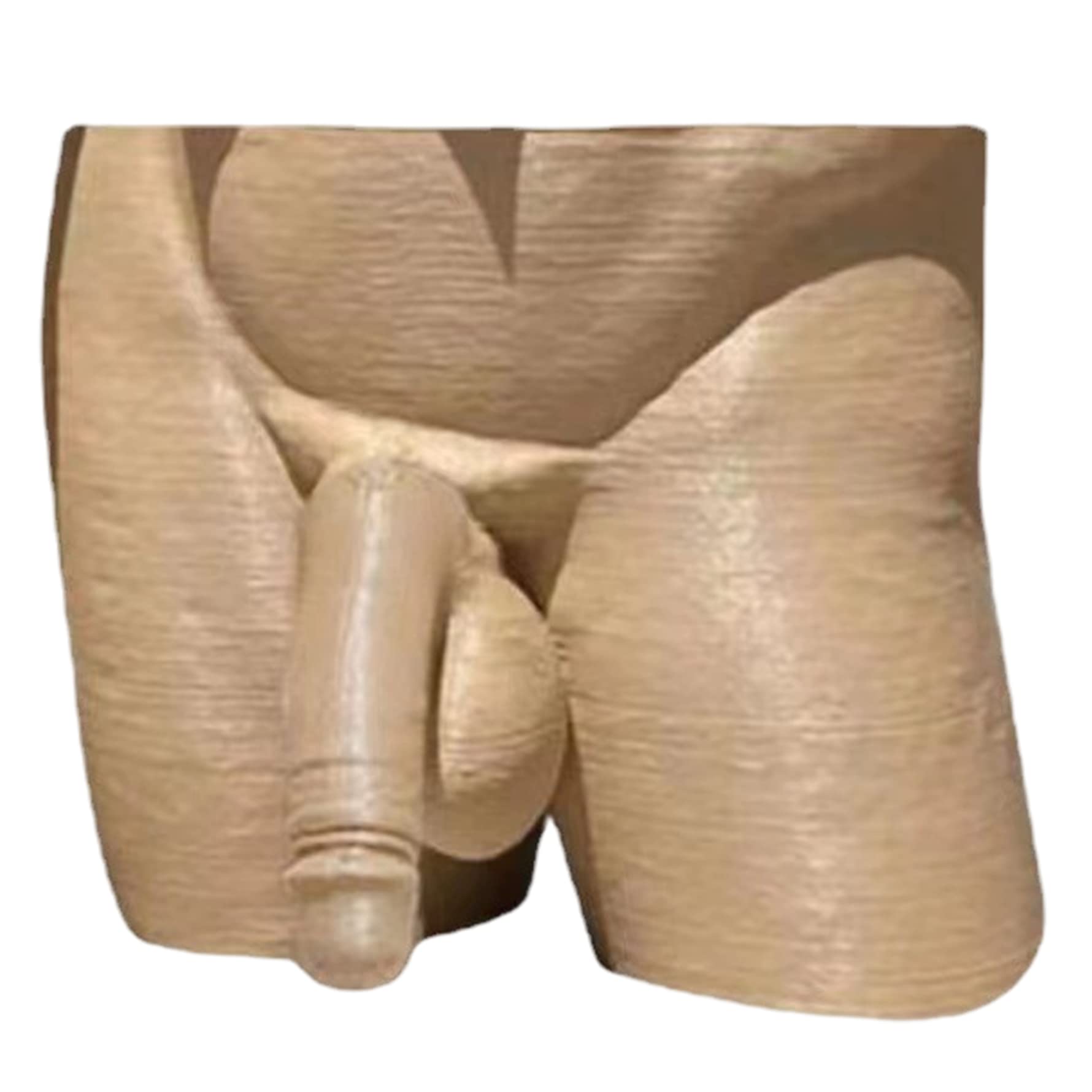 Yeaxxsqy Beige 4.7x5x3.9 Inch Body Form Plant Vase Unique Planter Penis Vase Decor Funny Male Body Planter Flower Pot for Home Garden Decor