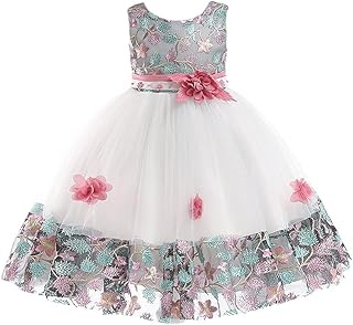 Vestido de festa de casamento para meninas 3D flor bordado infantil vestidos formais，LIANLI (R标备案，跟卖后果自负)(Rosa,3-6 meses)