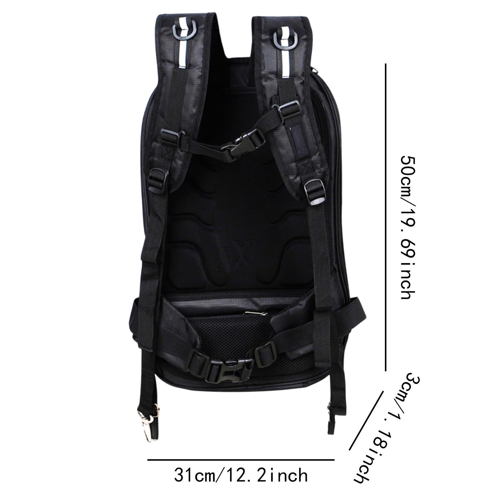 Mozart Horn Concerto No. 2, K. 417