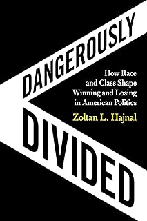 Dangerously Divided: How Race and Class Shape Winning and Losing in American Politics