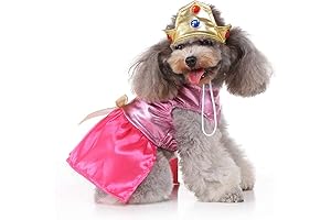 Princess Dog Costume: Embodying the Royal Essence of Your Furry Friend