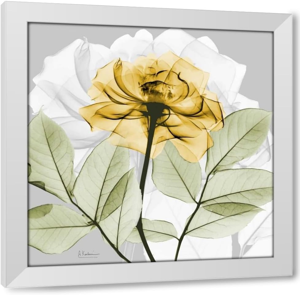 ArtDirect Koetsier, Albert 20x20 Black Modern Framed Art Print Titled: Rose in Gold 3