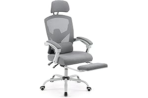 zuerst High Back Ergonomic Office Chair with Lumbar Pillow and Retractable Footrest