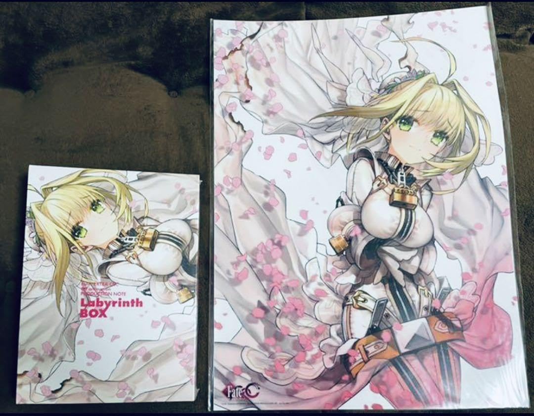 c84 Fate/EXTRA CCC 原画集&描き下ろしB3クリアポスター Amazon.co.jp: c84 Fate/EXTRA CCC 原画集&描き下ろしB3クリア