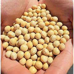 【大豆】豆乳向け 佐賀フクユタカ 大粒 1㎏×3