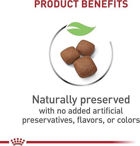 Miniatura 4 de Royal Canin Size Health Nutrition - Alimento seco gigante para perros junior, bolsa de 30 libras