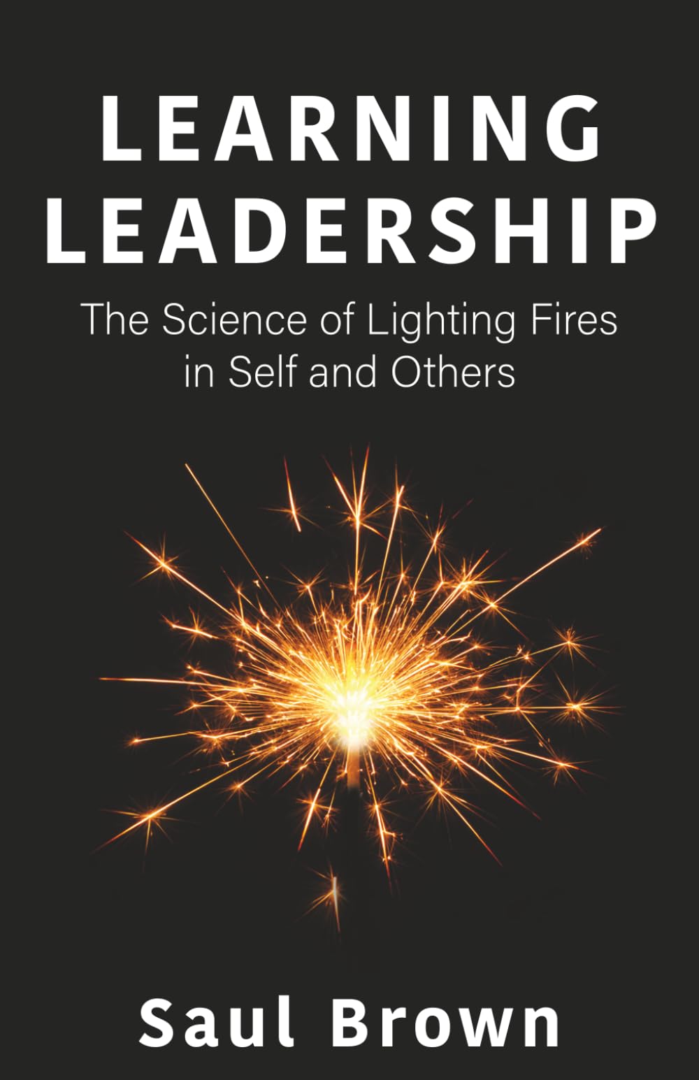 Learning Leadership: The Science of Lighting Fires in Self and Others