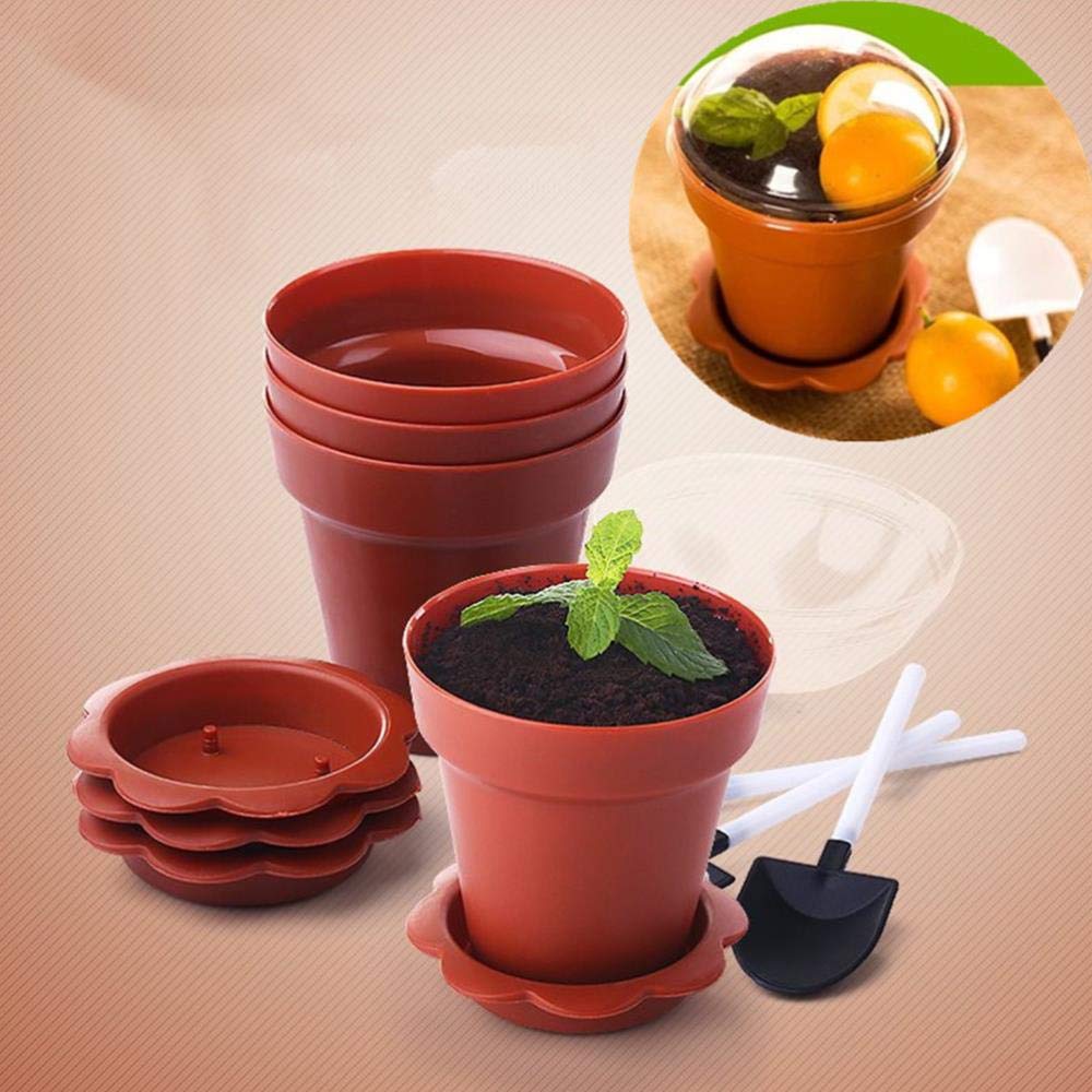 50 Blumentopf-Dessertbecher Mit Deckel & Löffel – 200 Ml, Für Eis, Joghurt, Party