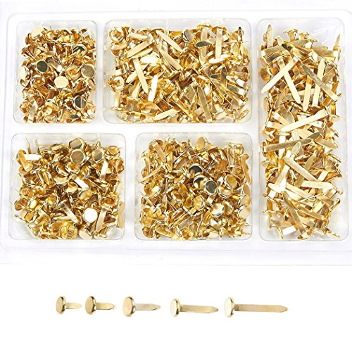 Top 10 brads fasteners assorted sizes for 2021 Sideror Reviews