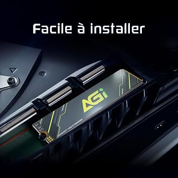 AGI 2TB AI818-43 PCIe NVMe M.2 Gen4x4 SLC Cache 3D NAND Flash Internal Solid State Drive SSD with Graphene Heat Sink (R/W Speed up to 5230/4780 MBs)