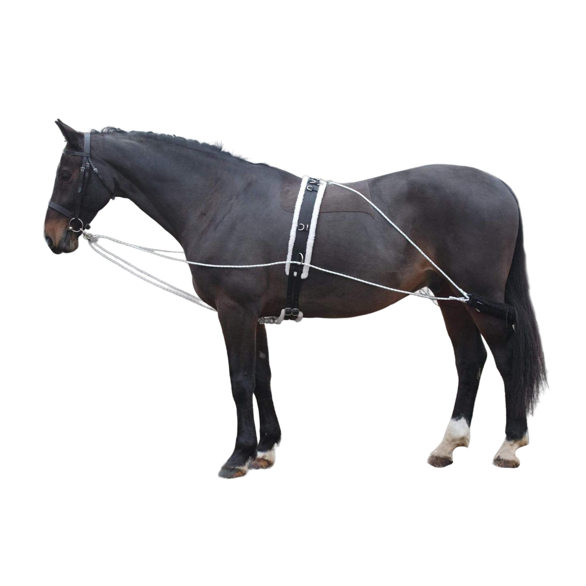 Shires Longierhilfe, Einheitsgröße, Schwarz, Schwarz , Einheitsgröße