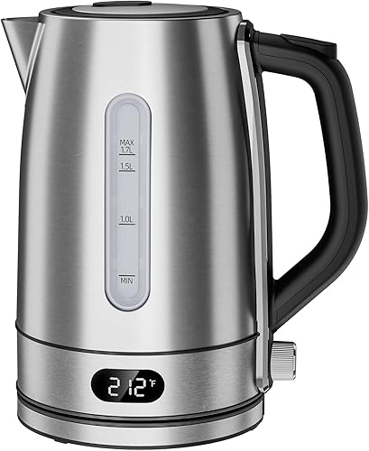 Kndko Hervidor eléctrico, ajuste de temperatura, filtro y hervidor de acero inoxidable, hervidor de té y caldera de agua caliente de 1.7 l para café