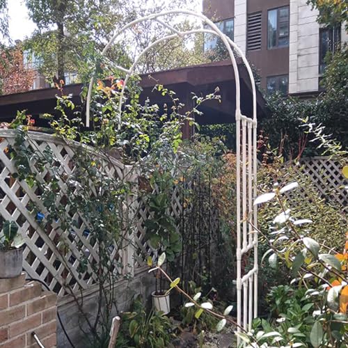 Arche de rose grimpante : la solution treillis blanc 240cm