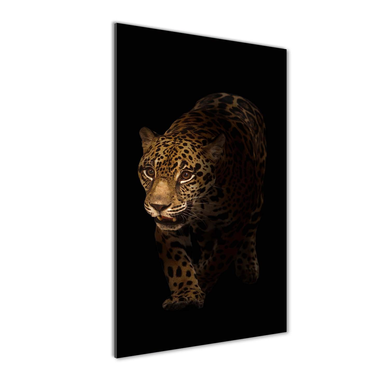 Impression sur verre acrylique haute définition 50x100 cm | Tableau étanche motif jaguar