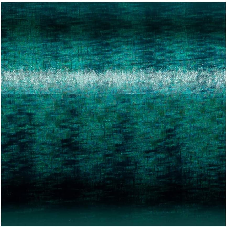 St. Croix Rods Triumph Surf Spinning Rod, TSF, Expertly Crafted, Premium Quality Spinning Rod