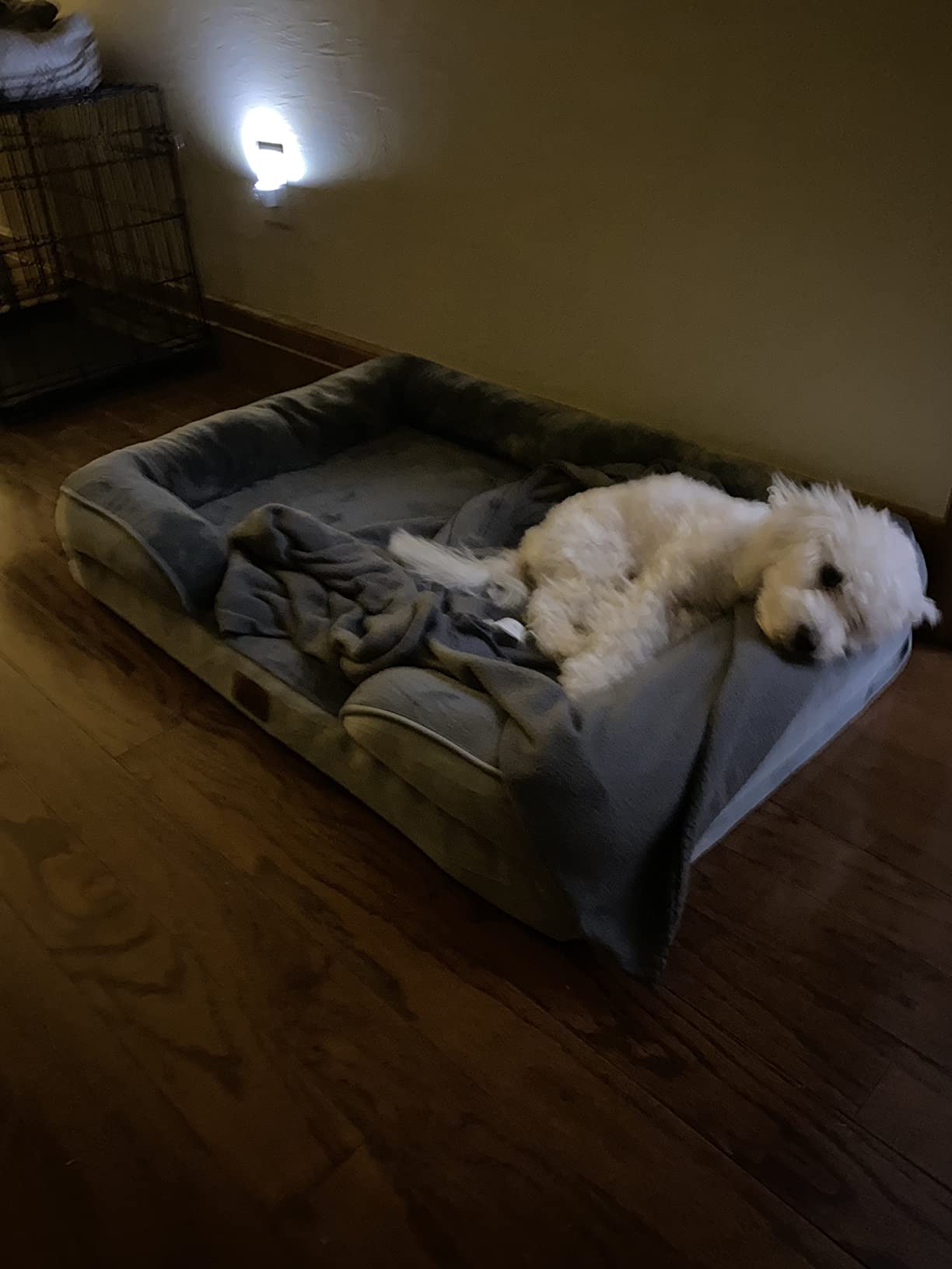 21/mo Finance Bedsure Orthopedic Dog Bed, Bolster Dog Beds for