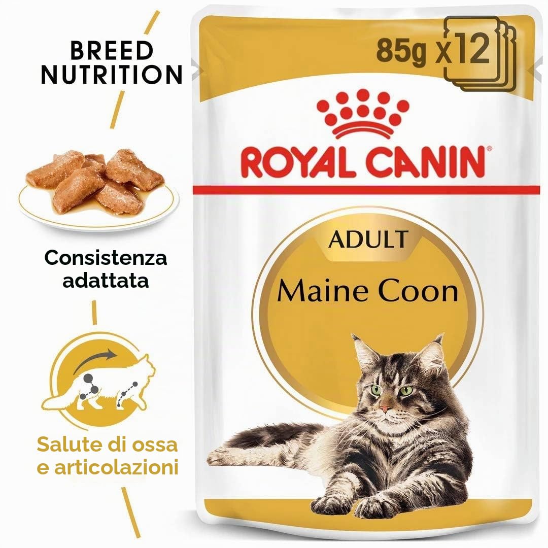 Royal Canin Maine Coon Adult | Confezione Doppia | 2 x 12 x 85 g | Cibo umido per gatti | Specificamente adattato alle esigenze dei gatti Maine Coon | Contenuto energetico adeguato