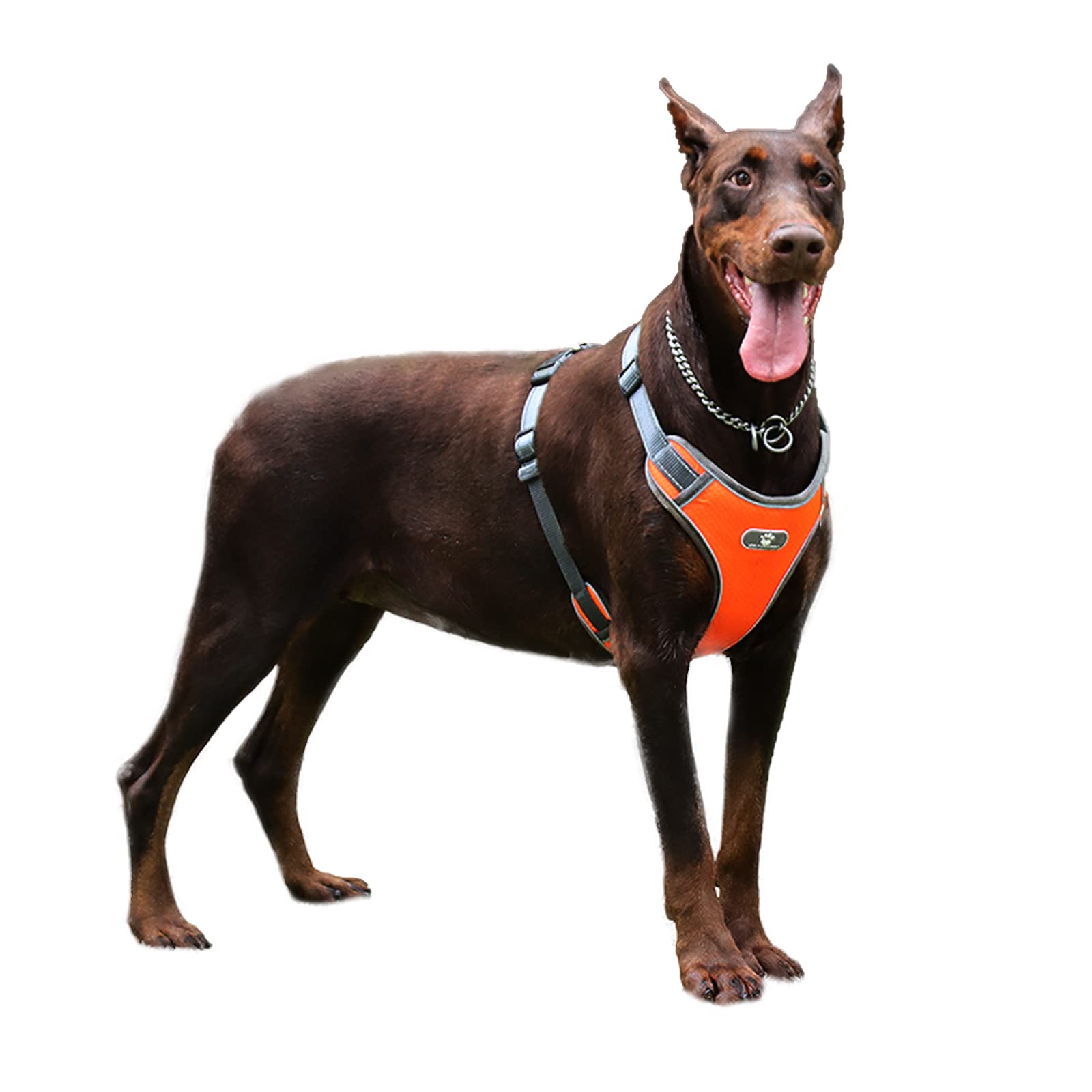 Dog Harness Adjustable Retractable Neck and Chest Anti-Explosion Punch Harness Night Reflective Breathable Mesh Design Dog Harness, Vest Style Easy to Wear Dog Harness,XL