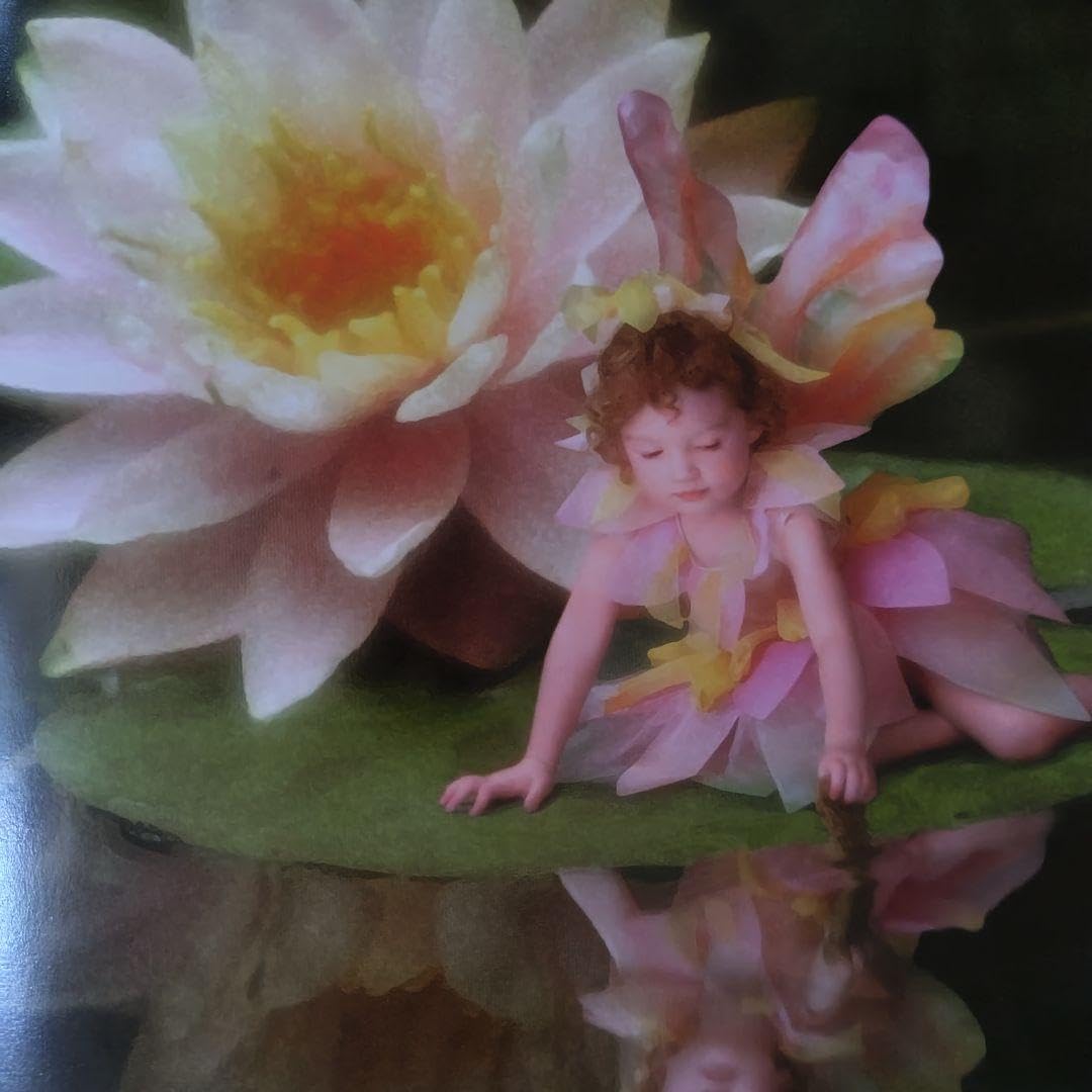 Amazon.co.jp: 天使の様な子供達 エンジェル 洋書 ビンテージ : ホーム