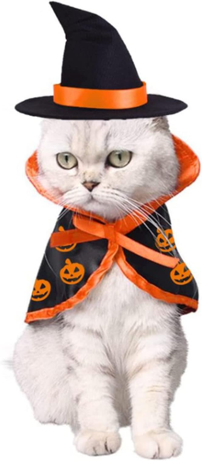 HZTZ Halloween Pet Capes Cat and Dog Christmas Costumes Pet Superman Capes,Hat Suit,28x29cm