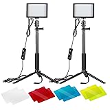 NEEWER LED Videolicht Set mit verstellbarem Stativ St&auml;nder Farbfiltern dimmbares 5600K USB Kamera Video Licht