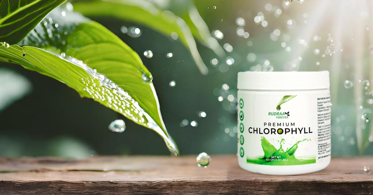 Rudraa Forever Chlorophyll Powder | Body Detox Supplement | Immunity Booster | Antioxidant Drink 100gm (B0B5CDDJZM) Amazon Price History, Amazon Price Tracker