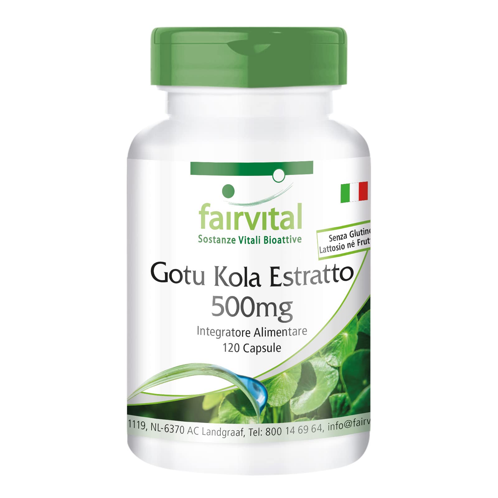 fairvital Centella Asiatica, 120 capsule, con 500 mg di estratto di Centella Asiatica per capsula, ALTO DOSAGGIO, VEGANO