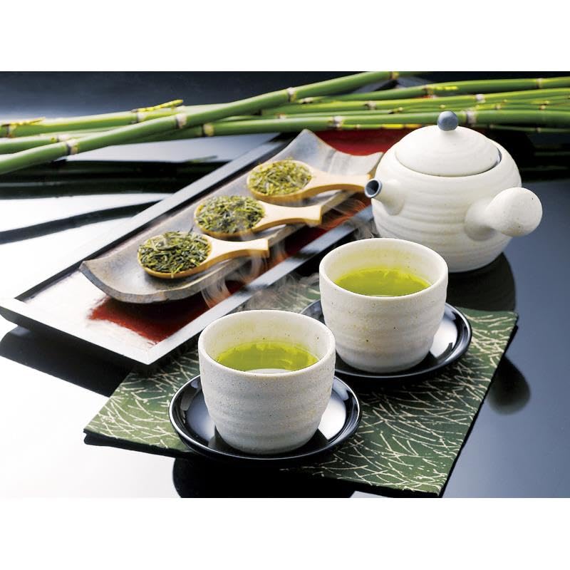 【未開封 新品】【定価¥10,000 高級茶】 静岡銘茶 香雅伝承CFD-100 38％OFF】静岡銘茶 香雅伝承B|内祝い・お返しギフトならPIARY（ピアリー）