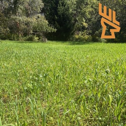 EP193 Building Nutrient Dense Food Plots Now, Germination Tactics, Drought Podcast Por arte de portada