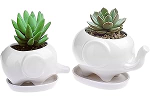 Kipokalor Elephant Flower Pot, Set of 2