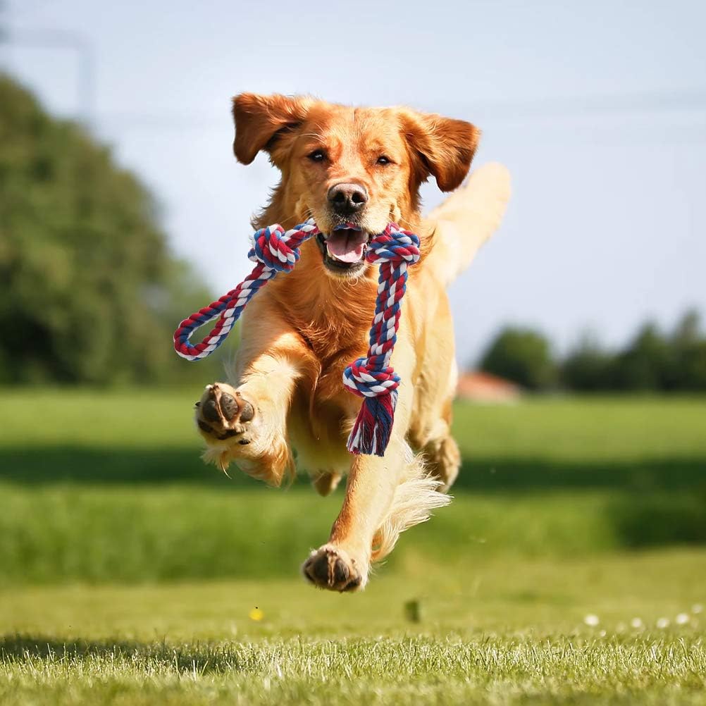 Dog Rope Toys - 3 Pack Durable Interactive Ball Chew Toy for Strong Aggressive Large Dogs