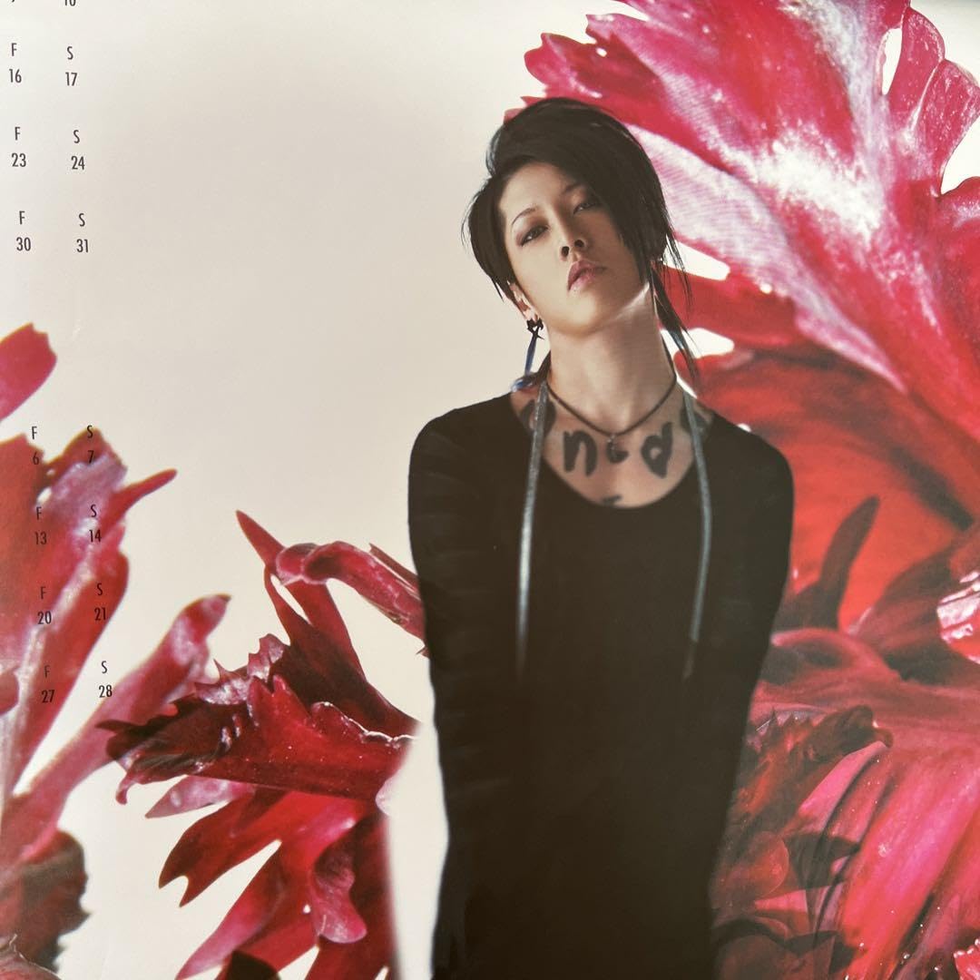 【MIYAVI】2011年 カレンダー Amazon.co.jp: 宮澤佐江(AKB48) 2011年 カレンダー : 木村 智哉