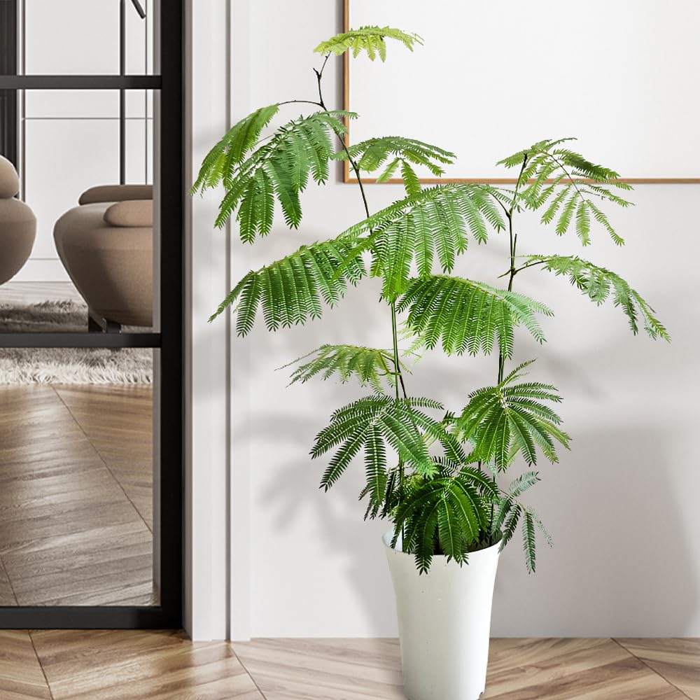 エバーフレッシュ 7号鉢