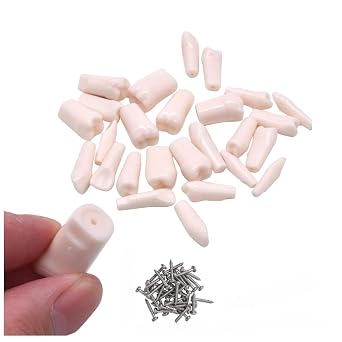Removable Typodont Teeth for Dental Typodont Teeth Model, Dental Practice and Teaching Replace Detachable Model 28pcs Teeth
