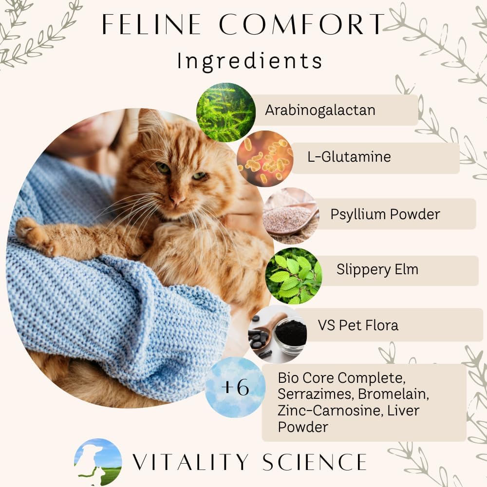 Vitality Science Feline Comfort for Cats | Maintains a Healthy Intestinal Tract and Proper Gut Flora | Restores Gastric Stability | for Vomiting and Diarrhea | 100% Additive Free (Seafood, 98g)