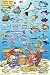 Puerto Rico Reef Creatures Identification Guide Franko Maps Laminated Fish Card 4"x6"