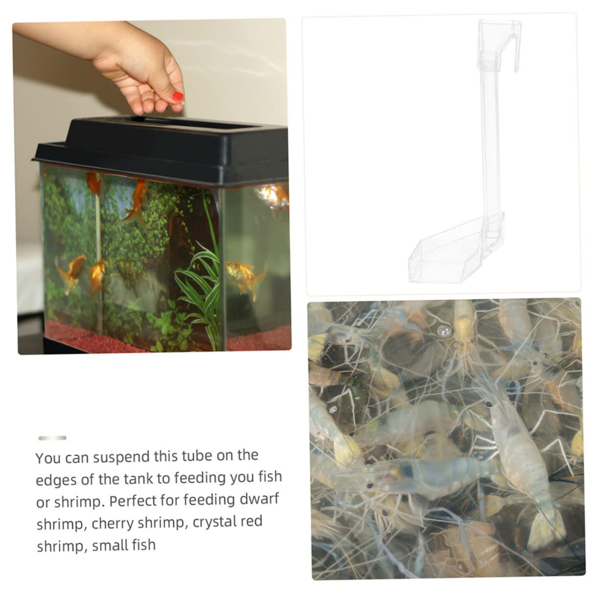 TOBBOMEY Fish Tank Feeder Tank Pond Pet Aquarium Pantry Automatic Fish Feeder Shrimp Holder Aquariums Jellyfish Food Pond Plant Chiller Platform Dish Automatic Tubing Acrylic
