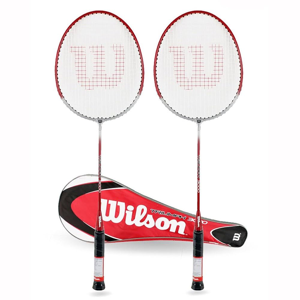 邦楽 WILLSHINE WILLSHINE - YouTube