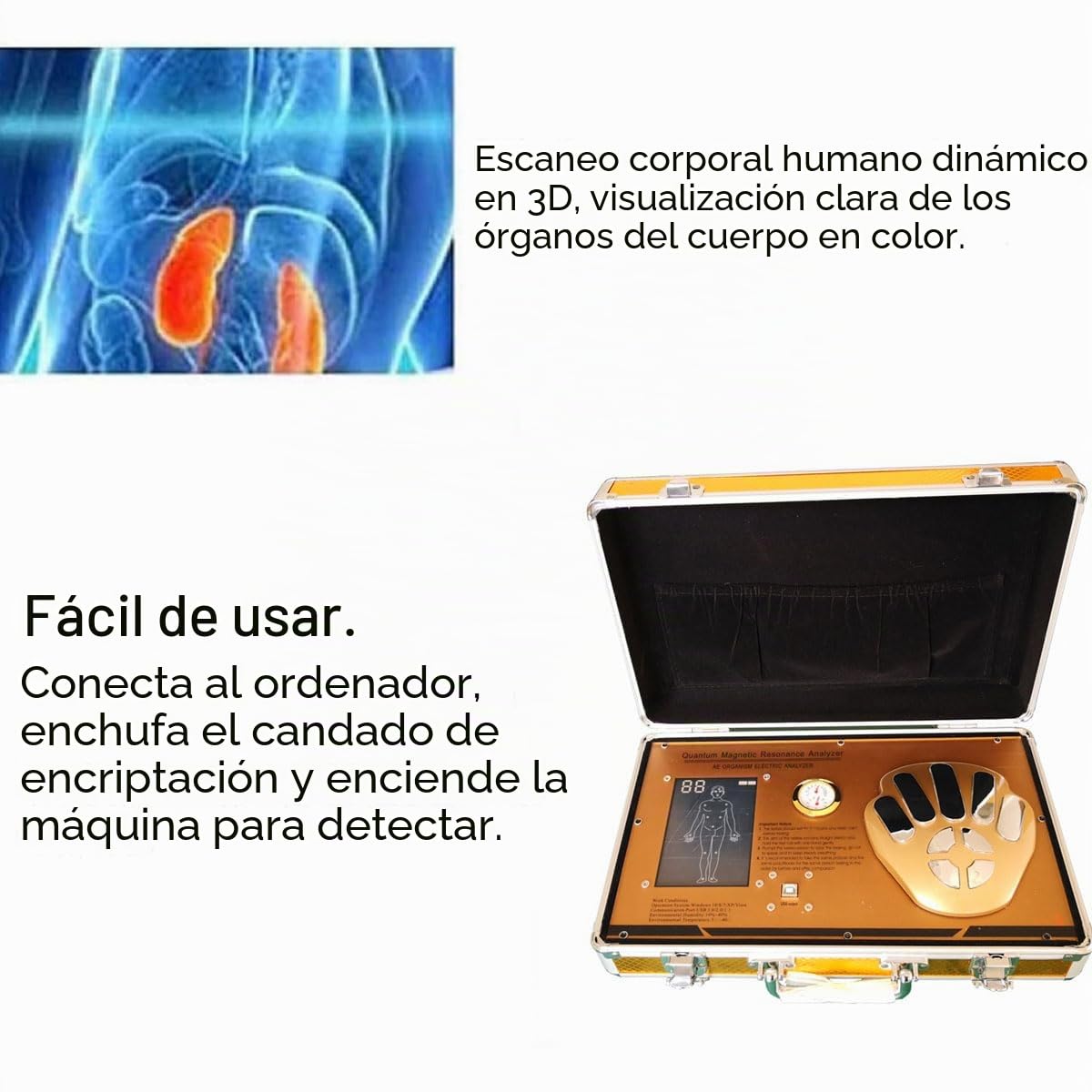 Detector corporal portátil de salud – Analizador cuántico 3D para todos | Detector inteligente dinámico de meridianos de células humanas, prueba rápidamente la salud física en casa