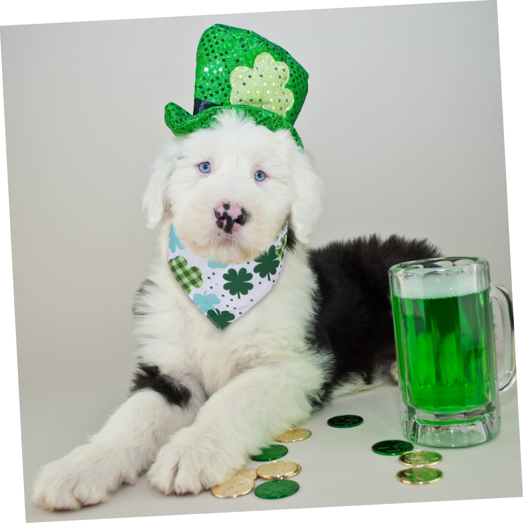 INOOMP 12pièces Bandana Créatif pour Chien Foulard pour Animaux De Compagnie pour Fêtes Sorties Et Photos Design Stylé pour Look Adorable