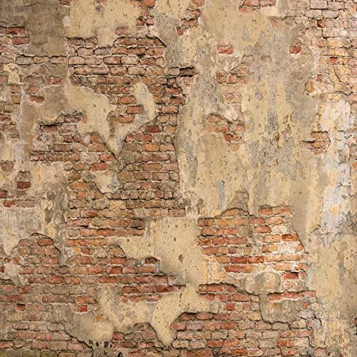 Kate 10×10Ft Brown Brick Wall Backdrop Photography Retro Shabby Interior Background Photo Studio Props For Photographer Pictures #TOP1