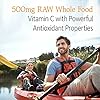 Garden-of-Life-Vitamin-Code-Raw-Vitamin-C-500mg-Whole-Food-Vitamin-C-with-Bioflavonoids-Fruits-Veggies-Probiotics-Gluten-Free-Vitamin-C-Supplements-for-Adults-120-Vegan-Capsules Garden Of Life, Raw Vitamin Code Vitamin C, 120 Veg Capsules