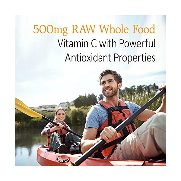 Garden-of-Life-Vitamin-Code-Raw-Vitamin-C-500mg-Whole-Food-Vitamin-C-with-Bioflavonoids-Fruits-Veggies-Probiotics-Gluten-Free-Vitamin-C-Supplements-for-Adults-120-Vegan-Capsules Garden Of Life, Raw Vitamin Code Vitamin C, 120 Veg Capsules