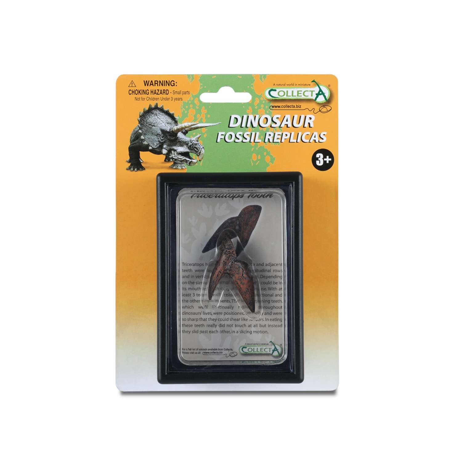 CollectA Tooth Of Triceratops Box Set
