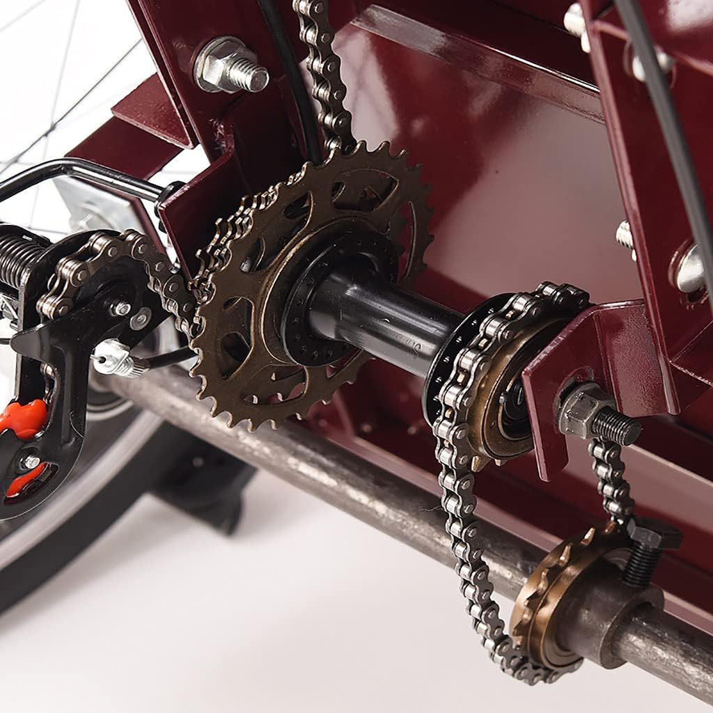 Three Wheel Bike 20 Inch Comfort Bicycles Bike Double Chain Adult Tricycle 6-Speed Adult Bicycle with Shopping Basket Convenient for The Elderly to Travel Cycling Pedalling