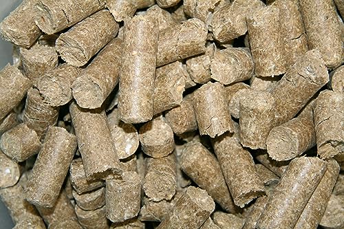 Kerbl Delizia Belohnungswürfel Classic (für Pferde, 1 kg Beutel, Geschmacksrichtung Himbeere, mit natürlichem Gehalt an Mineralstoffen, Pferdesnack) 325009