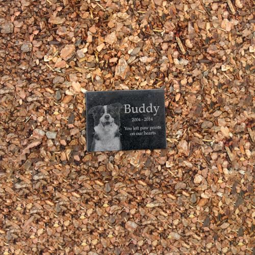 Personalized Granite Stone - Add Your Own Text and Artwork. Can Be Used as a Memorial, Garden Stone, Dedication Sign, Directional Sign, or Sympathy Gift (8 x 6 x 0.4)