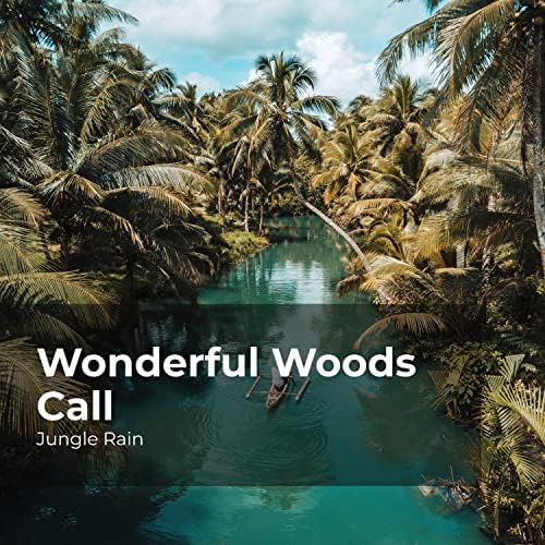 Amazon Music Jungle Rain & Nature and Rain & Deep Rain Samplingの
