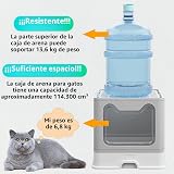 Ver la foto 6
