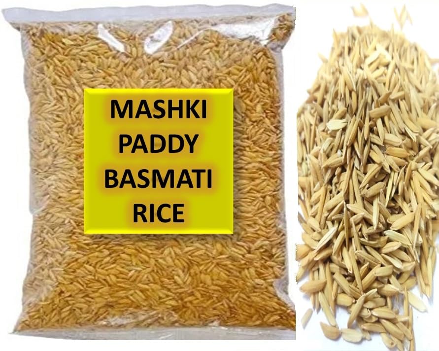 MASHKI Raw Basmatirice Paddy for Birds Food All Life Stage Birds Nellu Large Size Vadlu for Bird Seed (180)